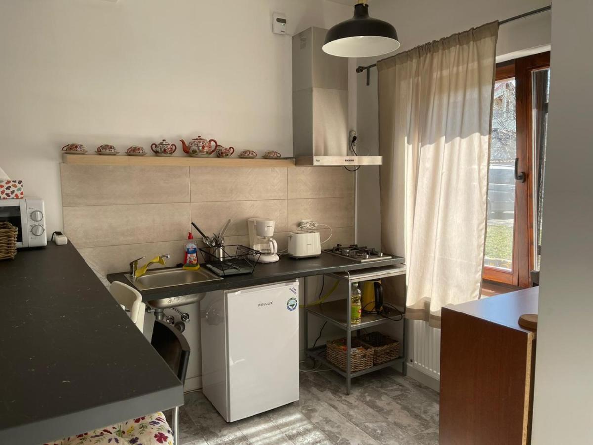 Tinamore Otopeni Extérieur photo
